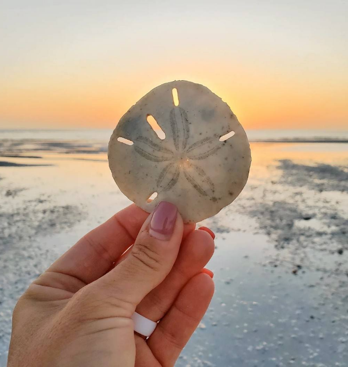 486538928_10101332083027558_7436287754055854271_n