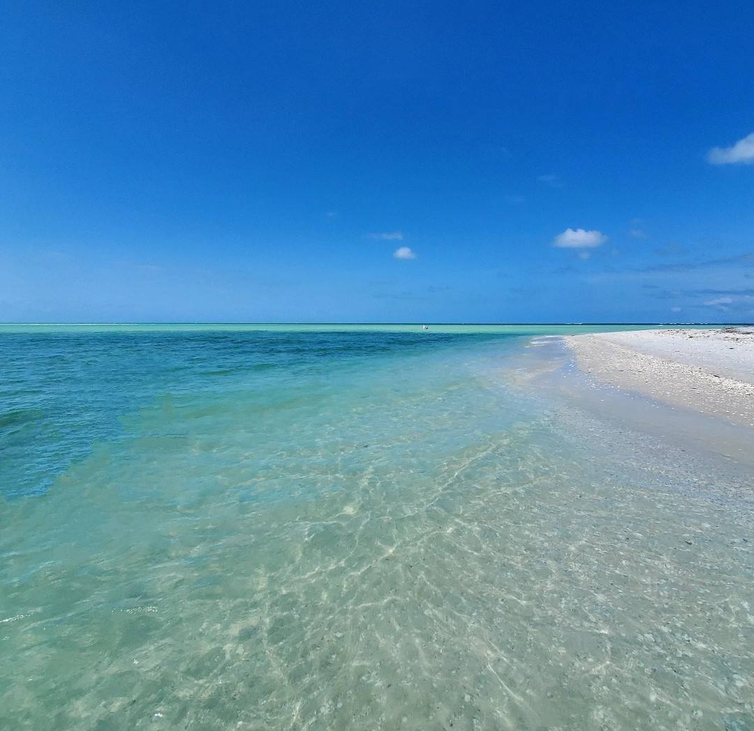 514410278_10101442672804758_8684736976016936130_n